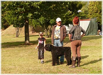 Elevage du CLOS DE LA LUETTE - COPYRIGHT DEPOSE